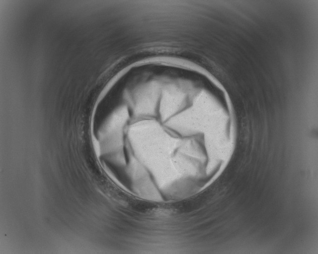 X0000080740255200701121944