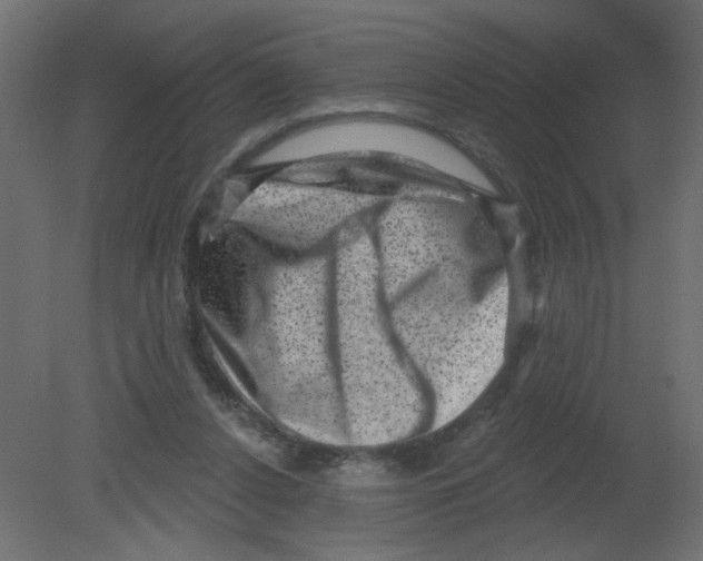 X0000080740256200701121944