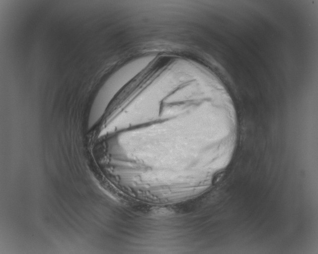 X0000080740257200701121944