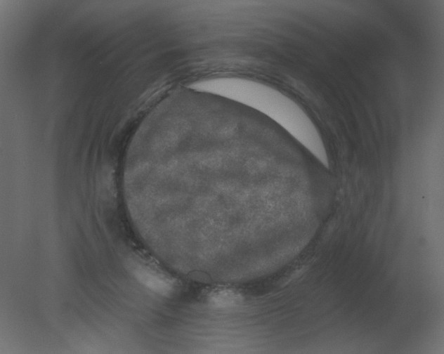 X0000080740258200701121944