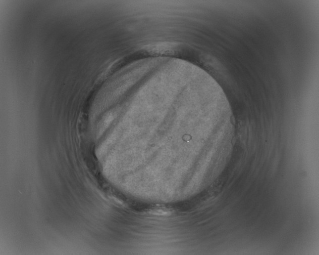 X0000080740259200701121944