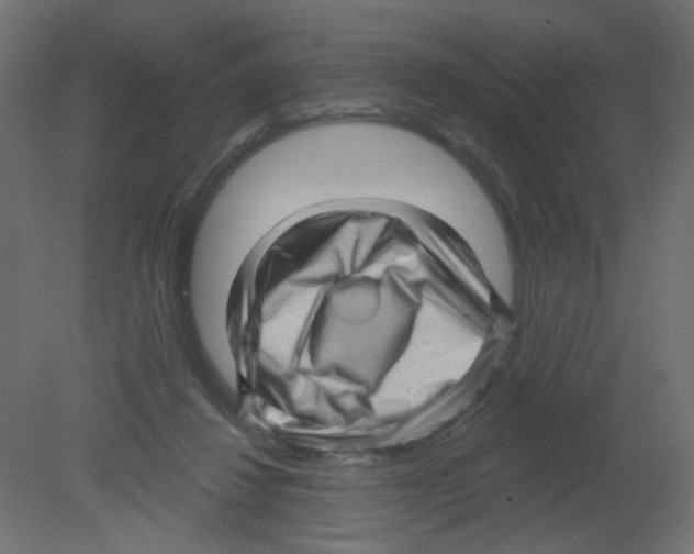 X0000080740260200701121944