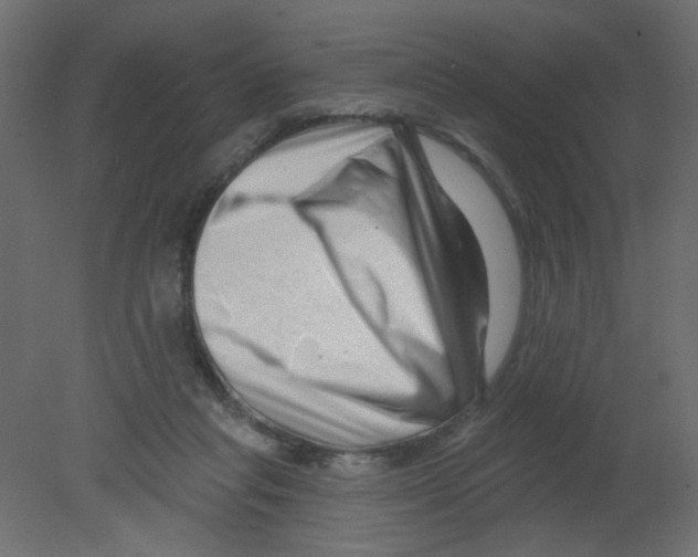 X0000080740261200701121944