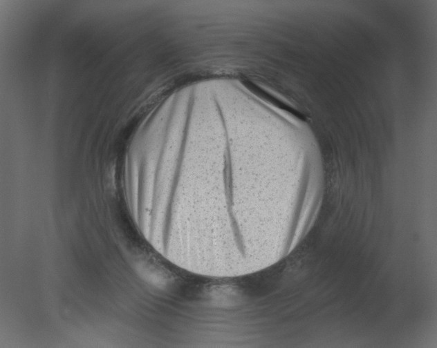 X0000080740262200701121944