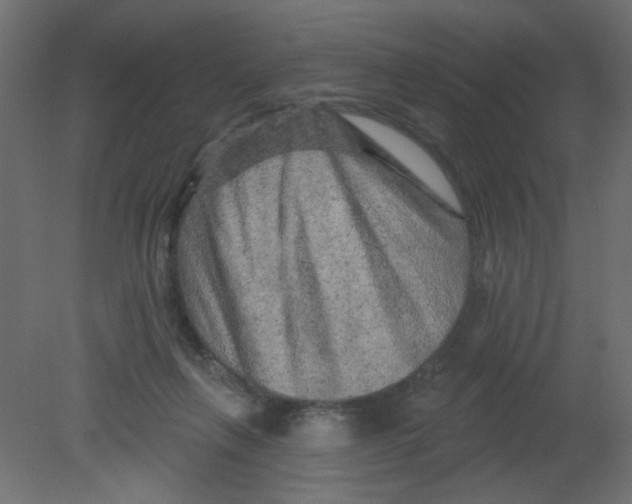 X0000080740263200701121944