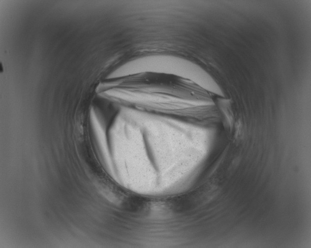 X0000080740264200701121944