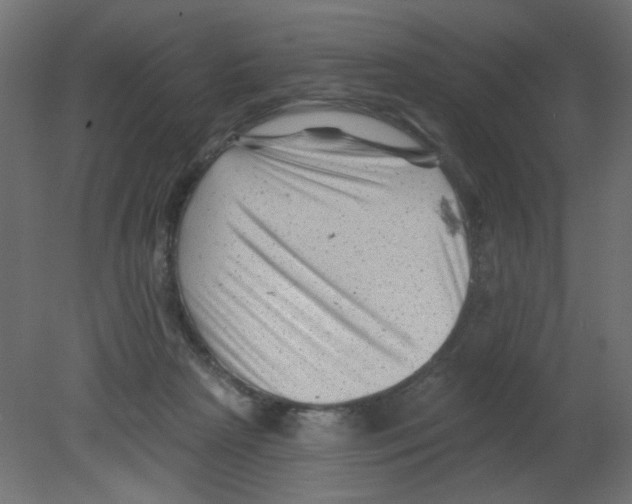 X0000080740265200701121944