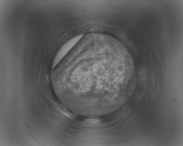 X0000080740266200701121944