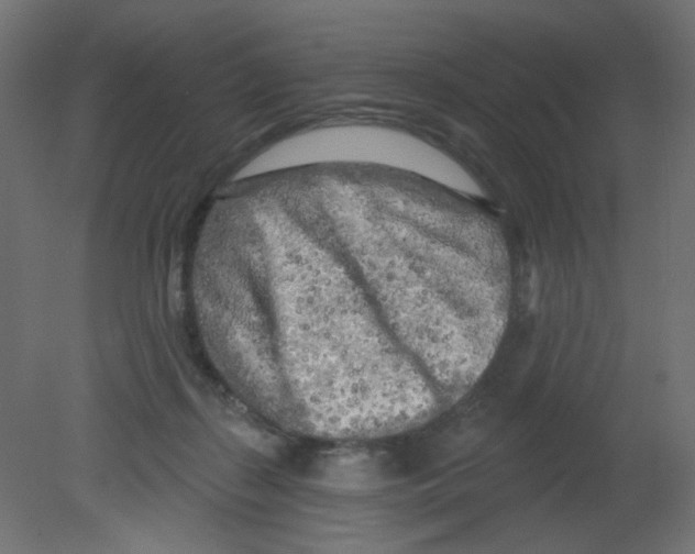 X0000080740267200701121944