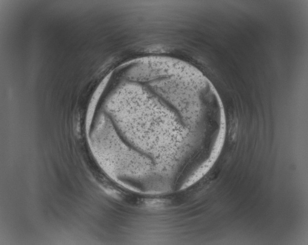 X0000080740268200701121944