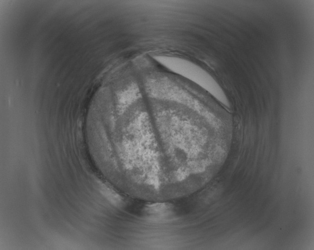 X0000080740269200701121944