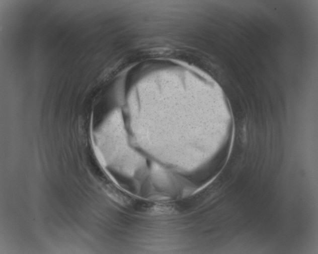 X0000080740270200701121944