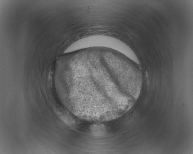 X0000080740271200701121944