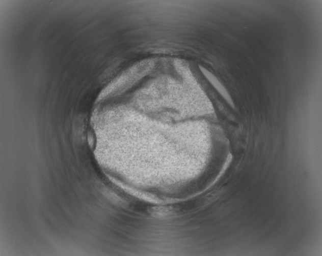 X0000080740273200701121944