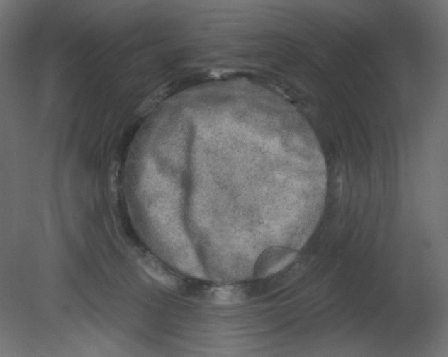 X0000080740275200701121944