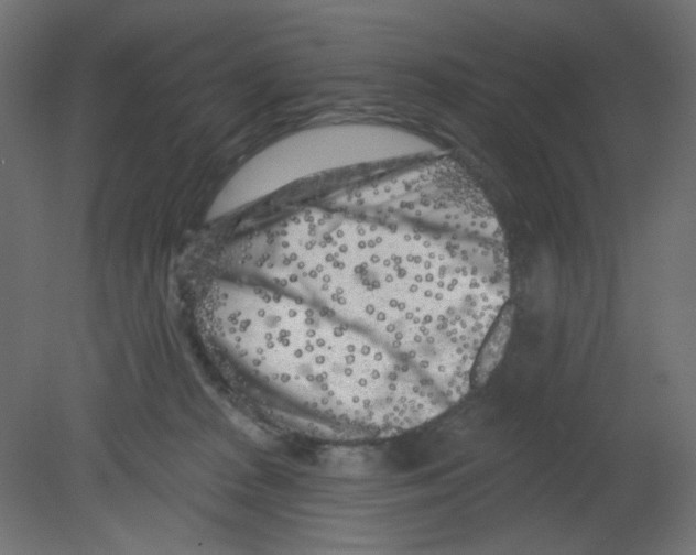 X0000080740277200701121944