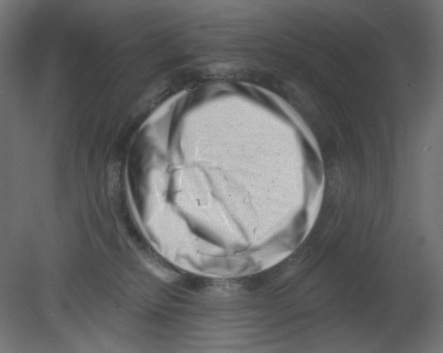 X0000080740278200701121944