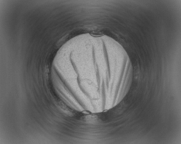 X0000080740279200701121945