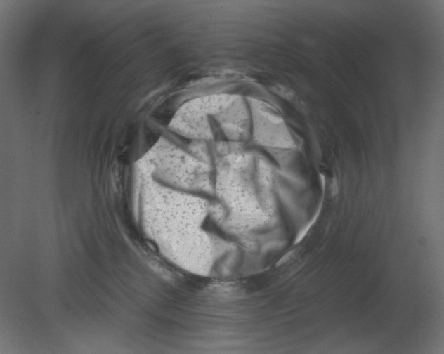 X0000080740280200701121945