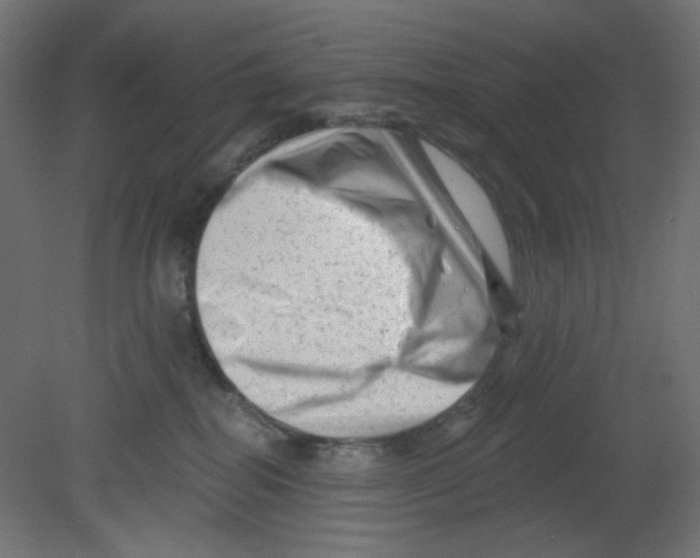 X0000080740282200701121945