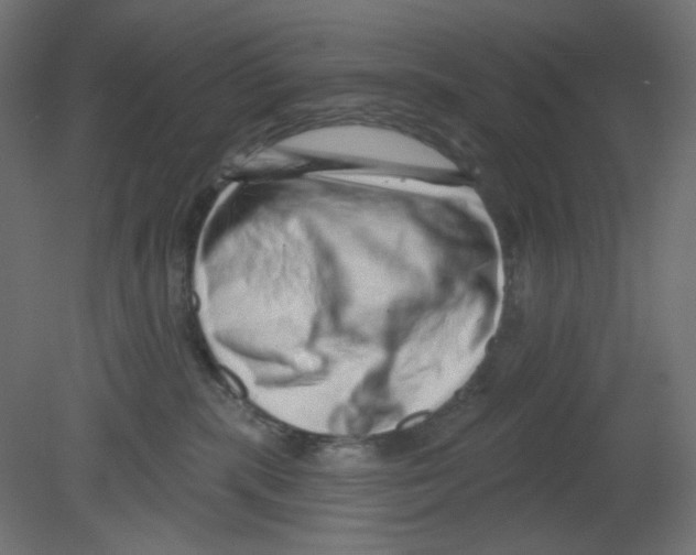 X0000080740283200701121945