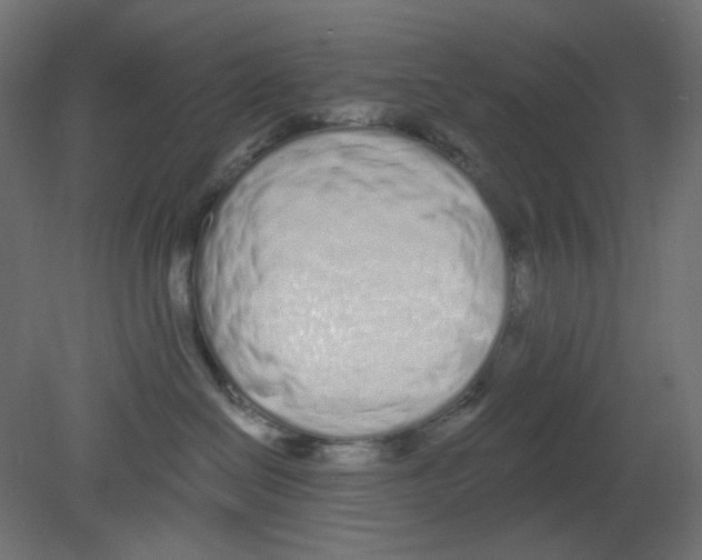 X0000080740286200701121945