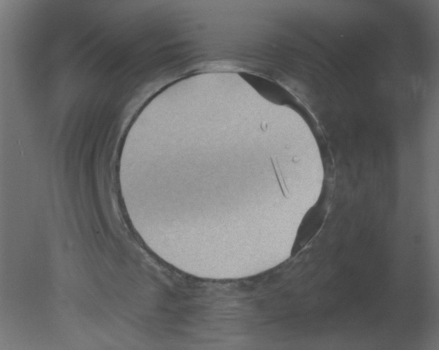 X0000080740289200701121944