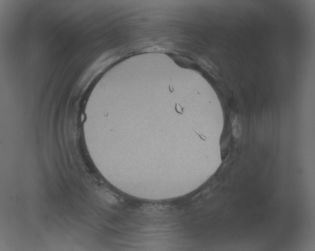 X0000080740291200701121944