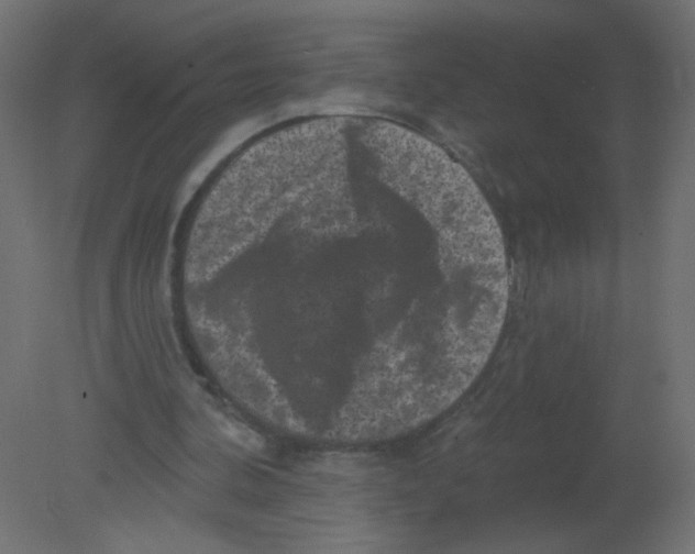 X0000080740292200701121944