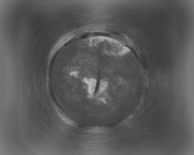 X0000080740293200701121944