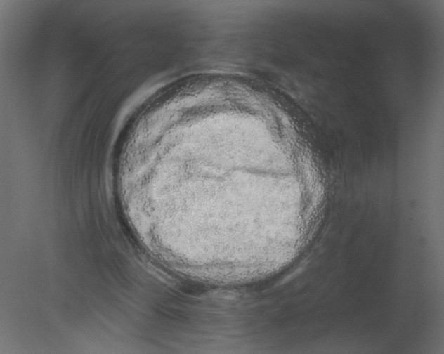 X0000080740294200701121944