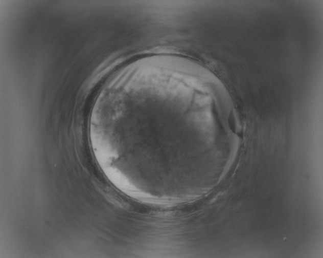 X0000080740295200701121944