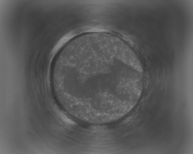 X0000080740296200701121944