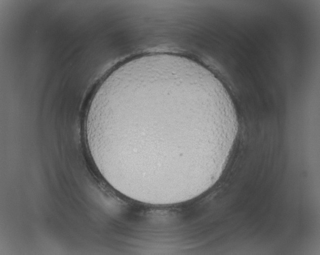 X0000080740298200701121944