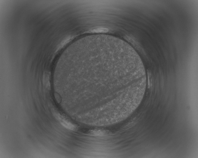 X0000080740300200701121944