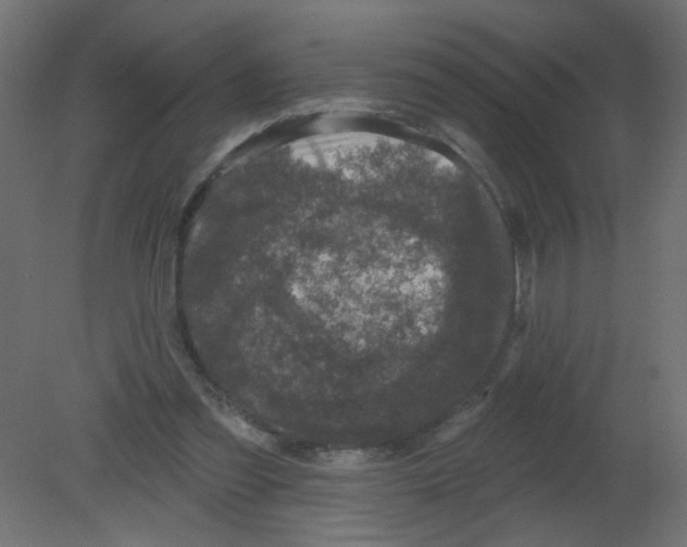 X0000080740301200701121944