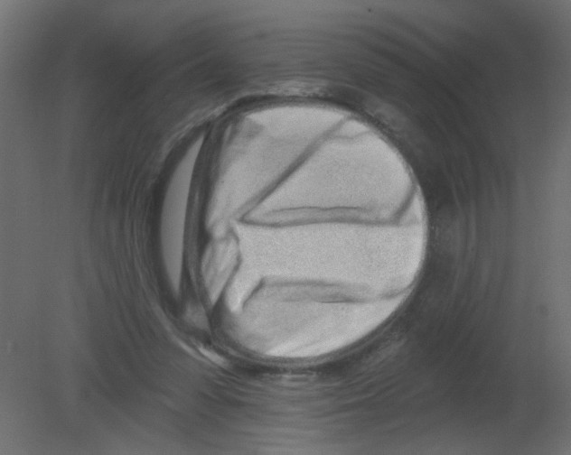 X0000080740303200701121944