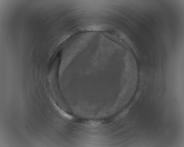 X0000080740305200701121944