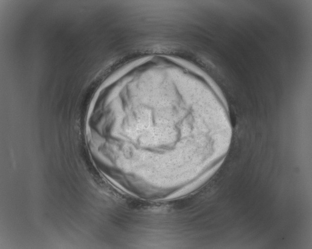 X0000080740306200701121944