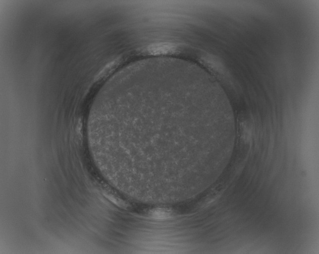 X0000080740308200701121944