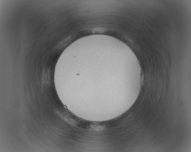 X0000080740311200701121943