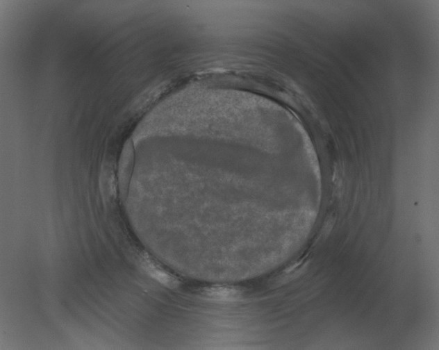 X0000080740313200701121943