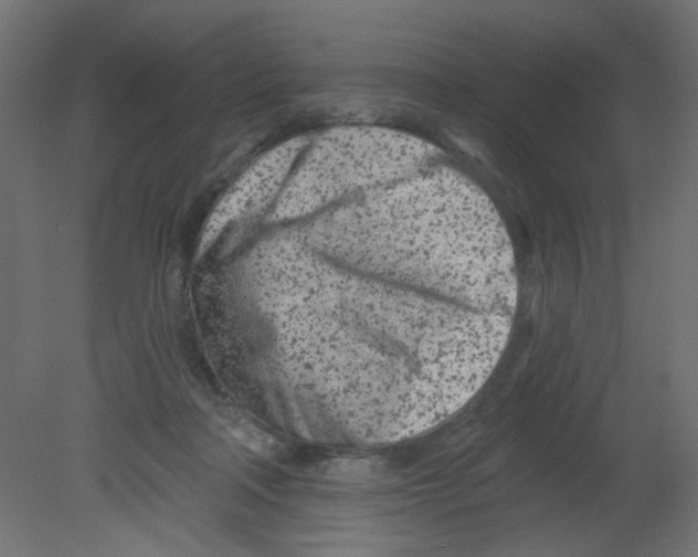 X0000080740314200701121943