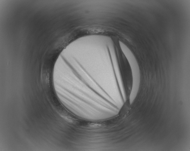 X0000080740315200701121943