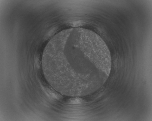 X0000080740316200701121943