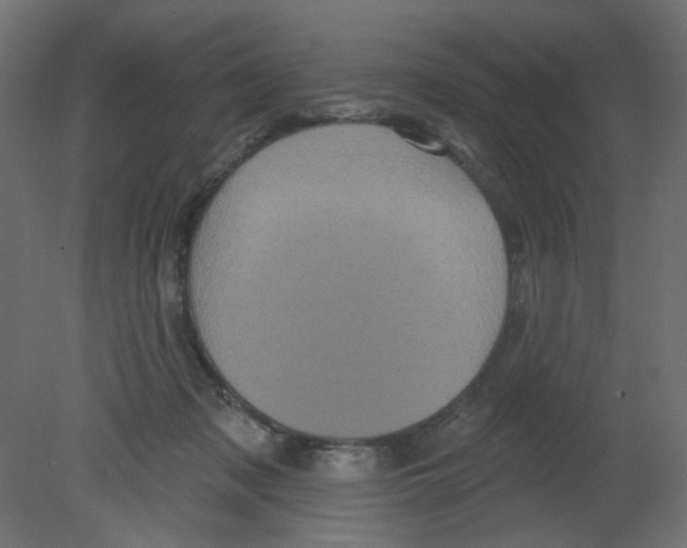 X0000080740317200701121943