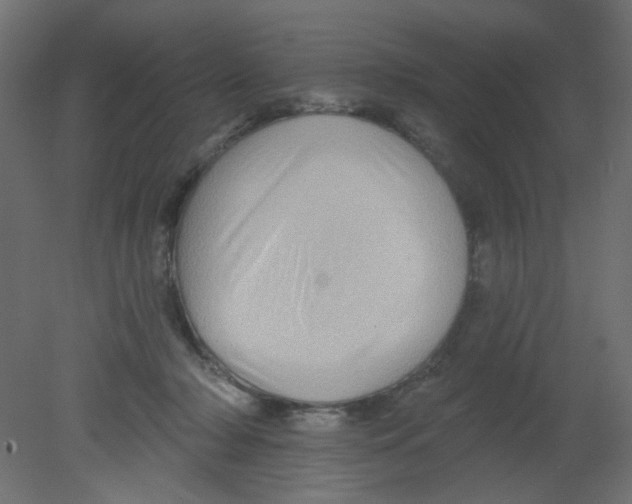 X0000080740318200701121943