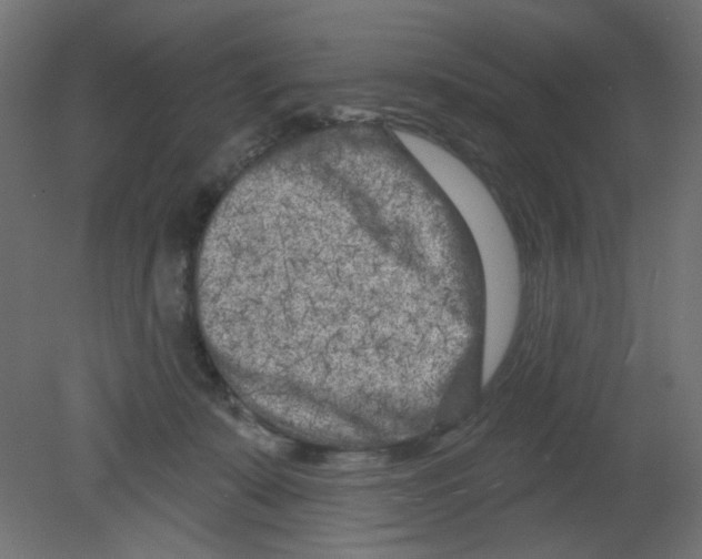 X0000080740319200701121943