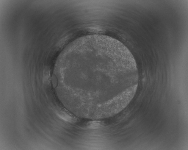 X0000080740320200701121943