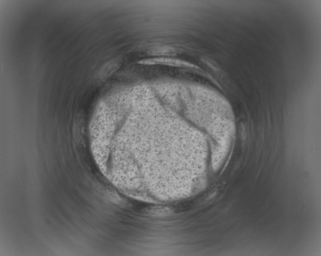 X0000080740322200701121943